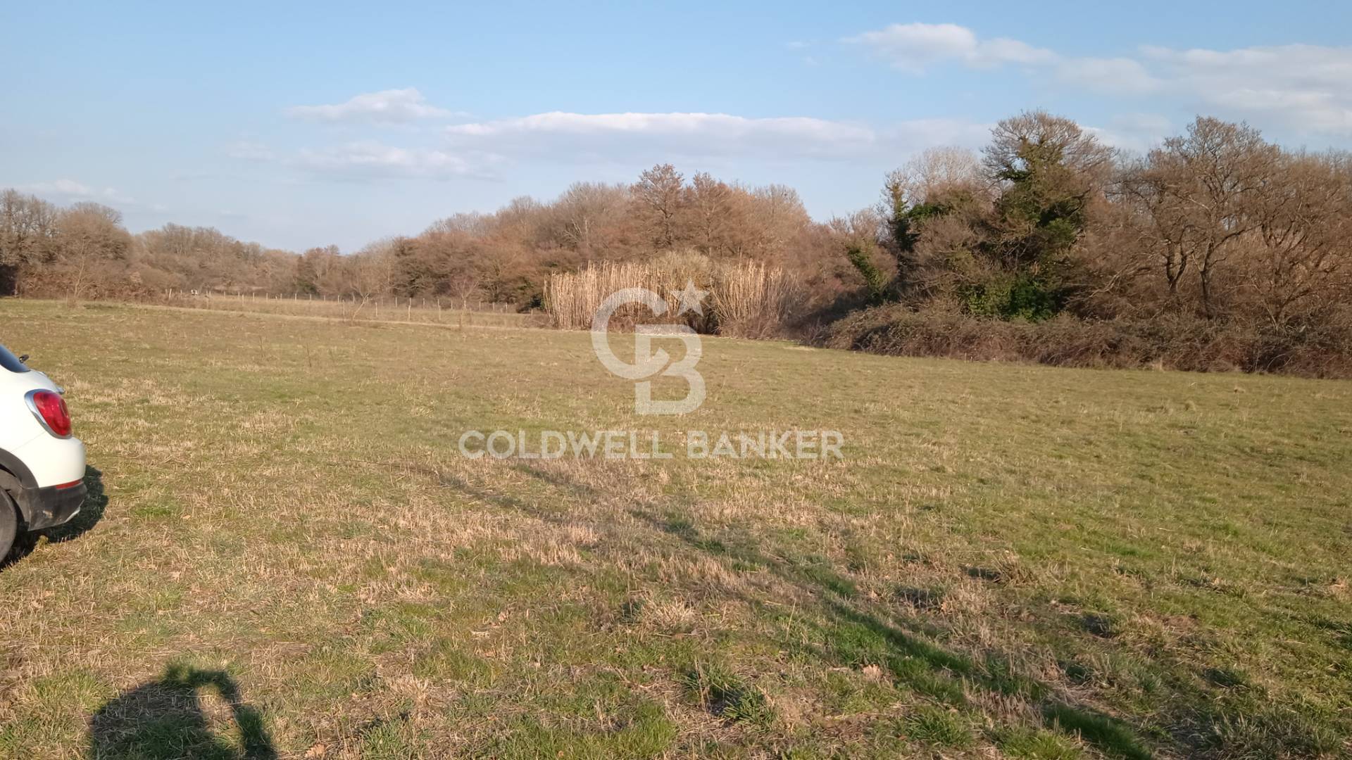 Terreno agricolo in vendita a Nepi