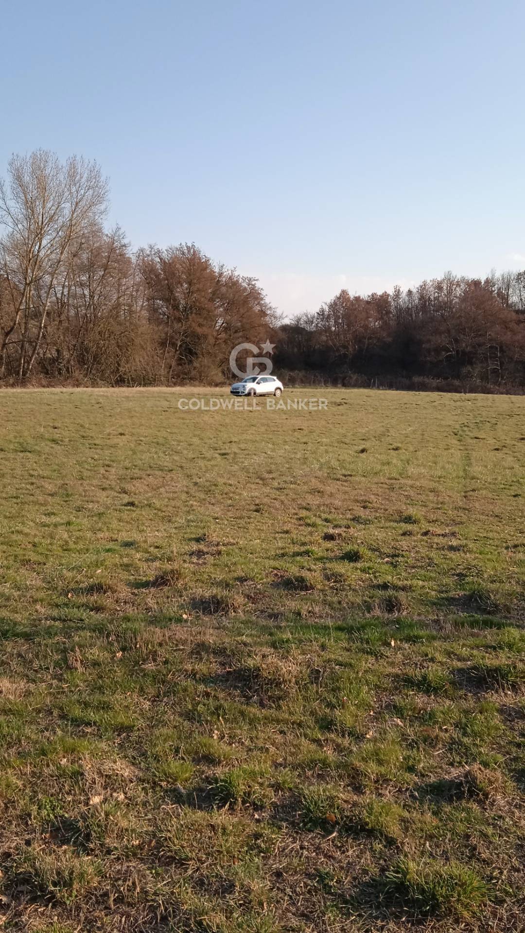 Terreno agricolo in vendita a Nepi