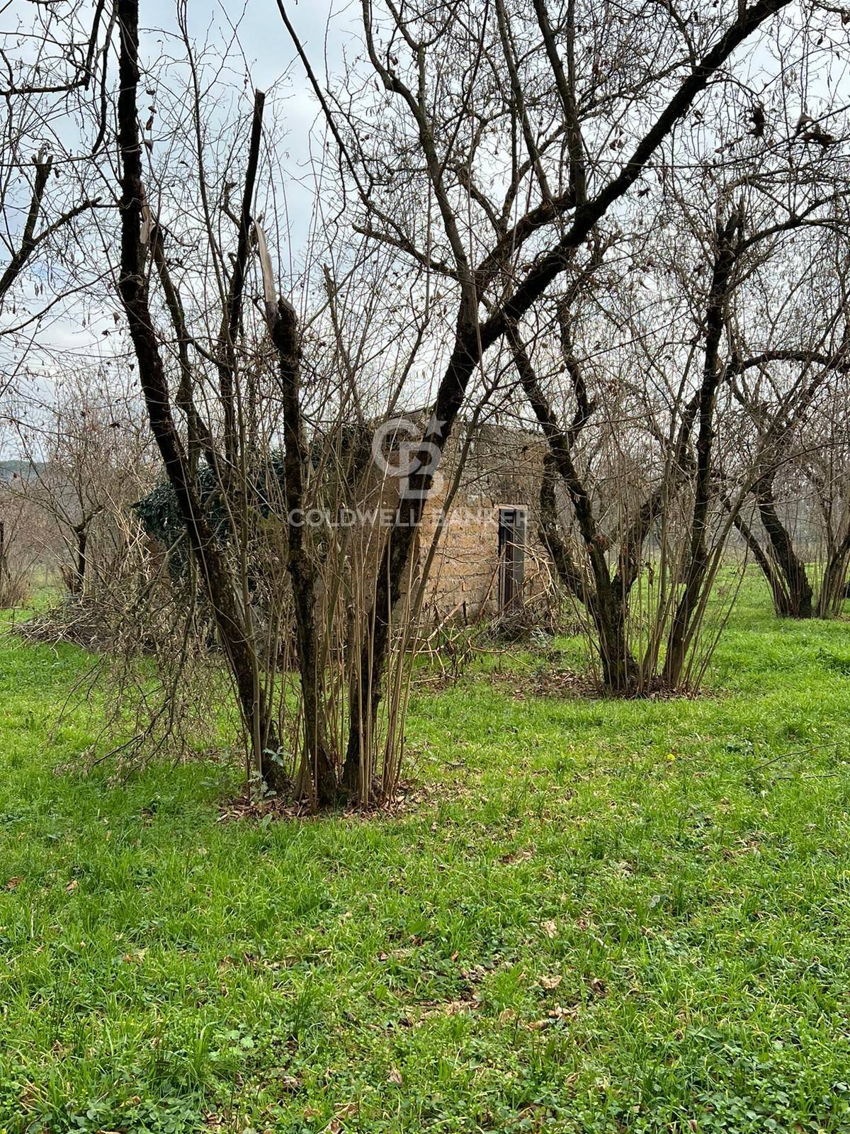 Terreno agricolo in vendita a Sutri, centro