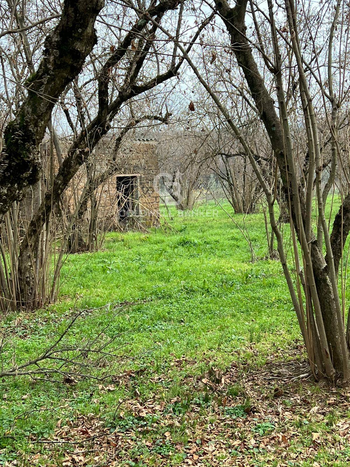 Terreno agricolo in vendita a Sutri, centro