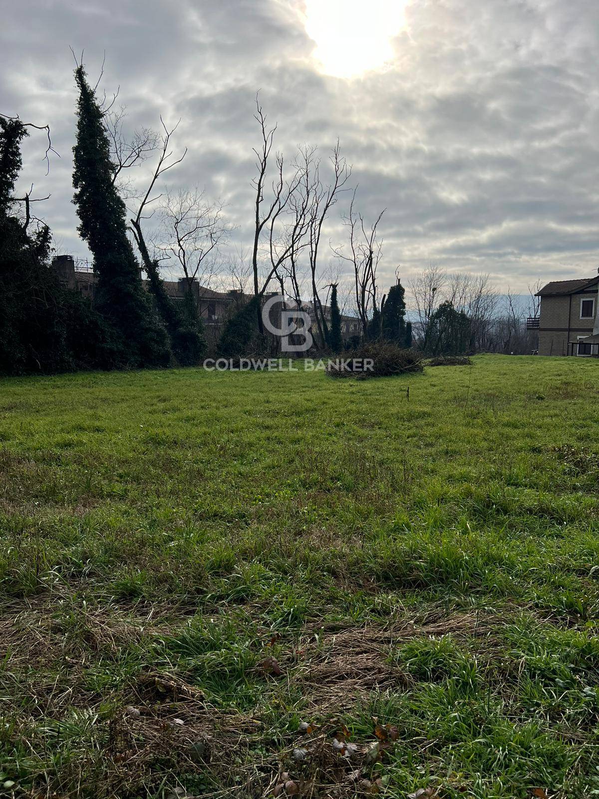 Terreno agricolo in vendita a Sutri, centro