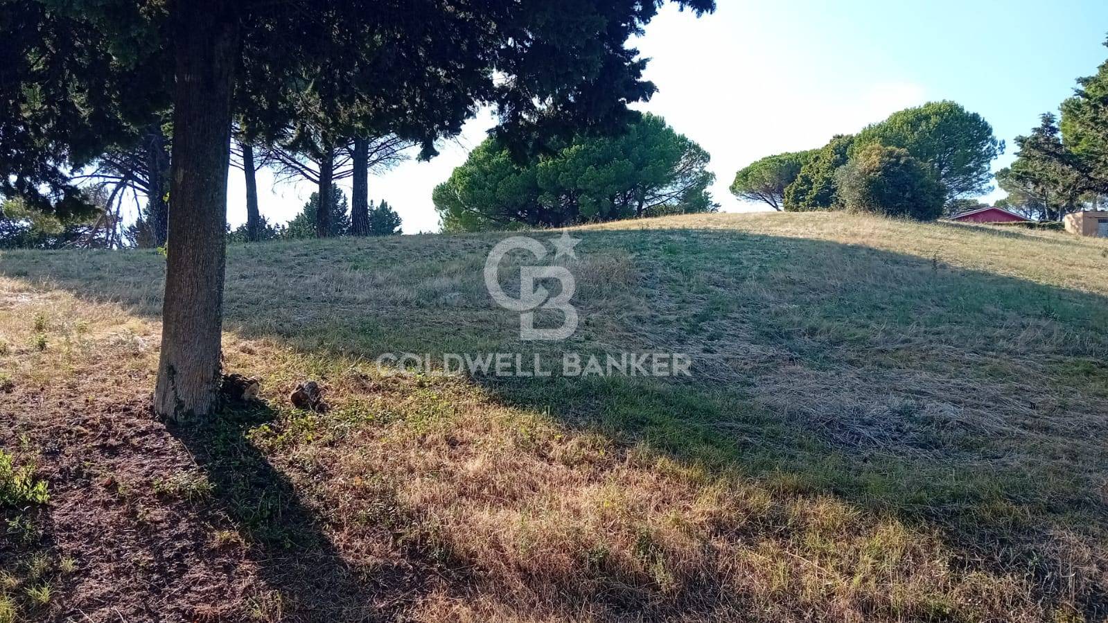 Terreno agricolo in vendita a Sutri, Villa Piperno