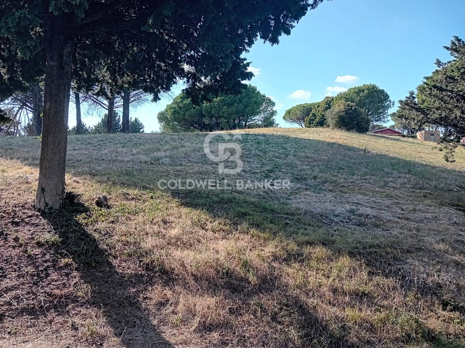 Terreno agricolo in vendita a Sutri, Villa Piperno