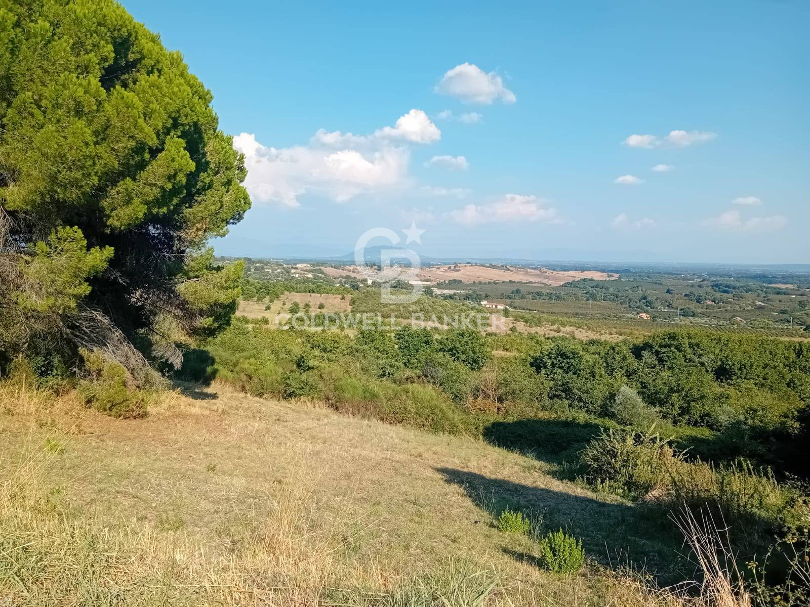 Terreno agricolo in vendita a Sutri, Villa Piperno
