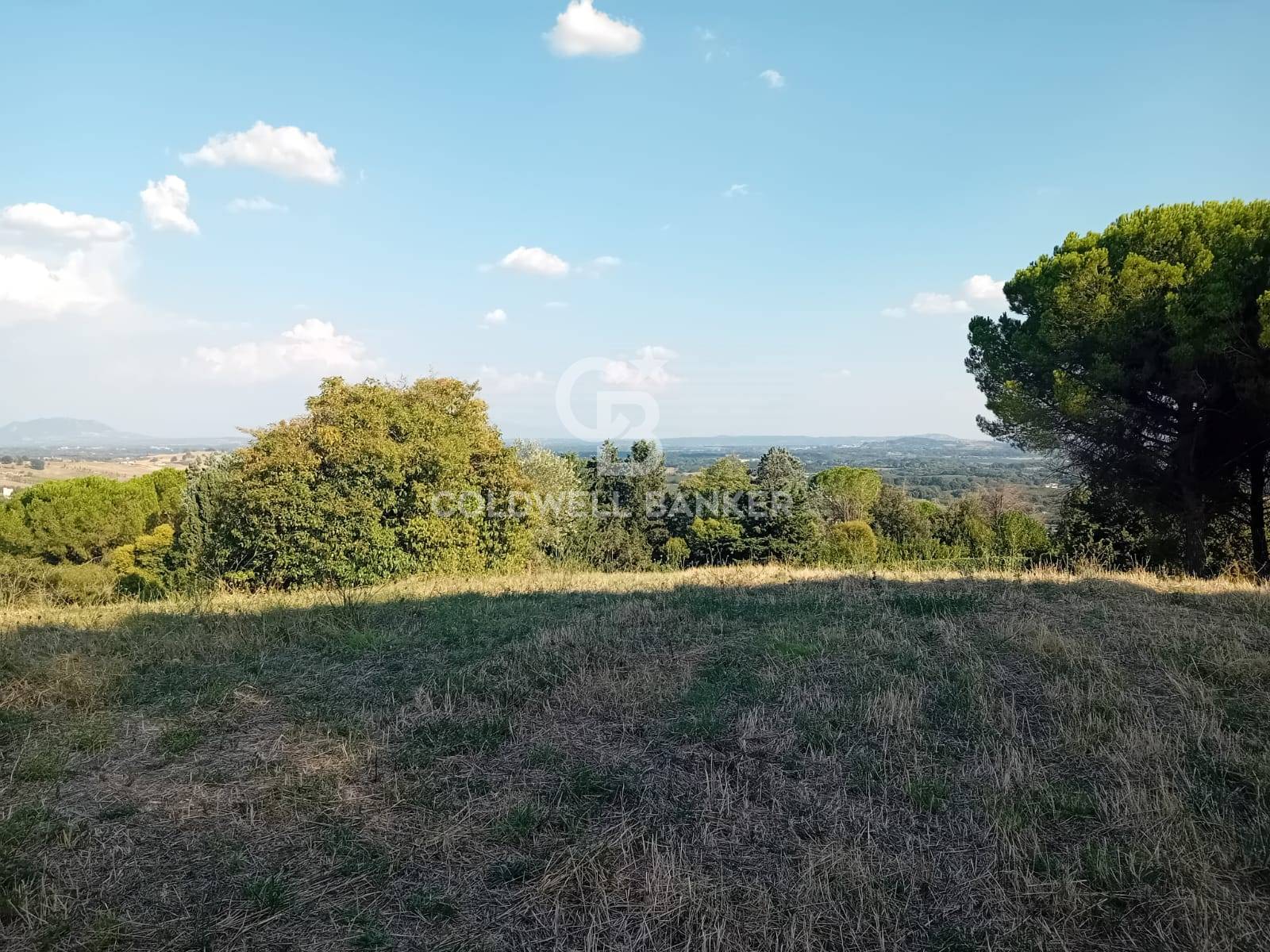 Terreno agricolo in vendita a Sutri, Villa Piperno