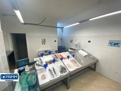 Locale commerciale in affitto a Roma, Acilia