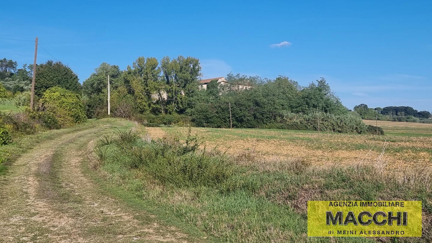 Rustico da ristrutturare a Terricciola