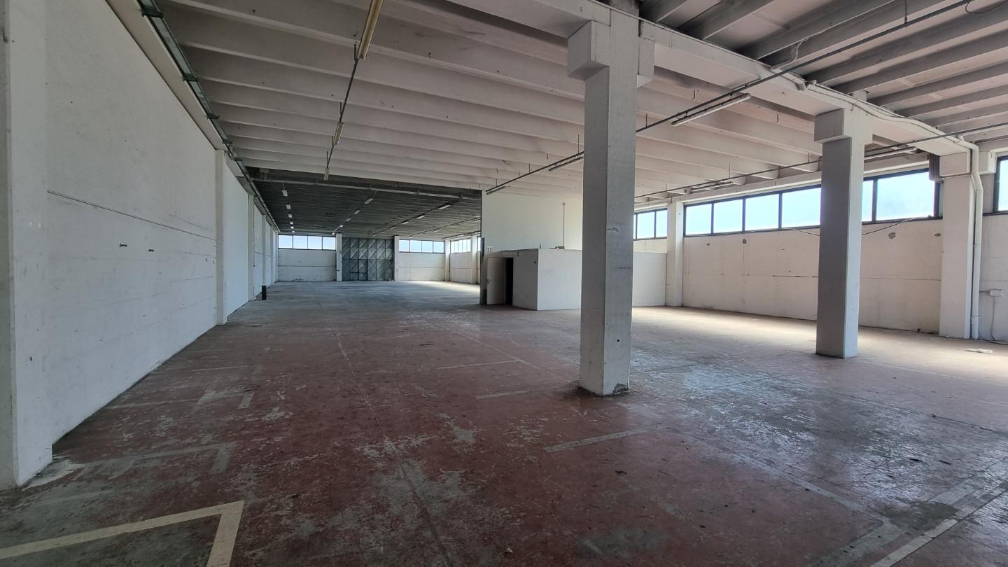 Capannone in affitto a Pontedera