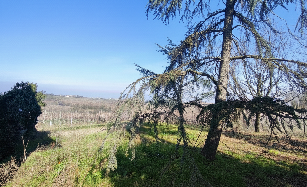 Villa in vendita a Ziano Piacentino