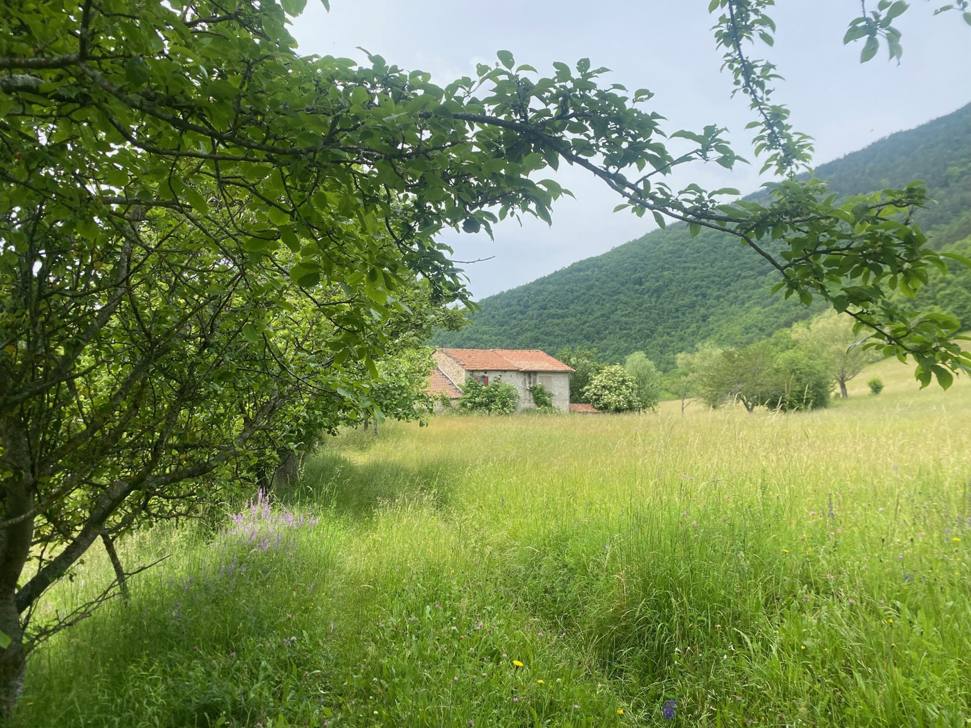 Trilocale in vendita a Bobbio