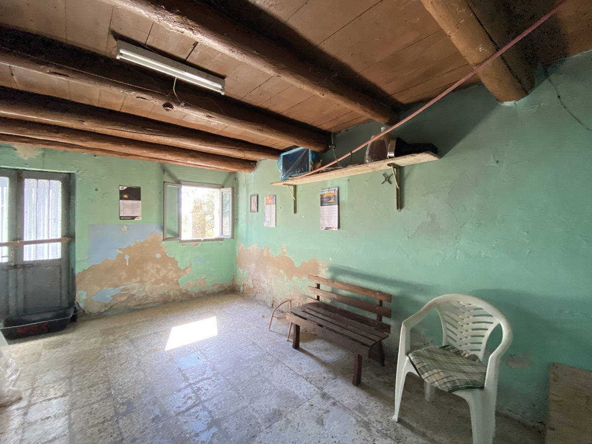 Rustico con giardino a Pojana Maggiore