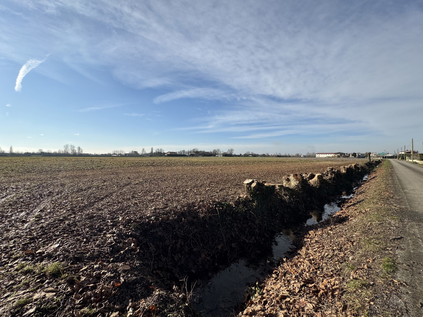 Terreno Agricolo in vendita a Noventa Vicentina