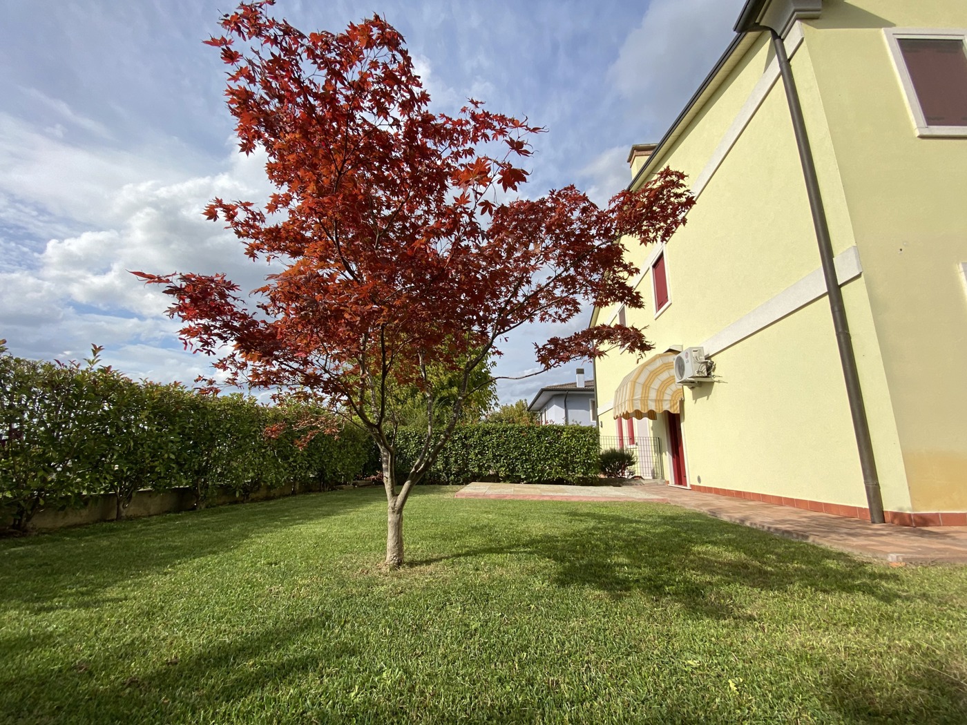 Trilocale in affitto a Noventa Vicentina