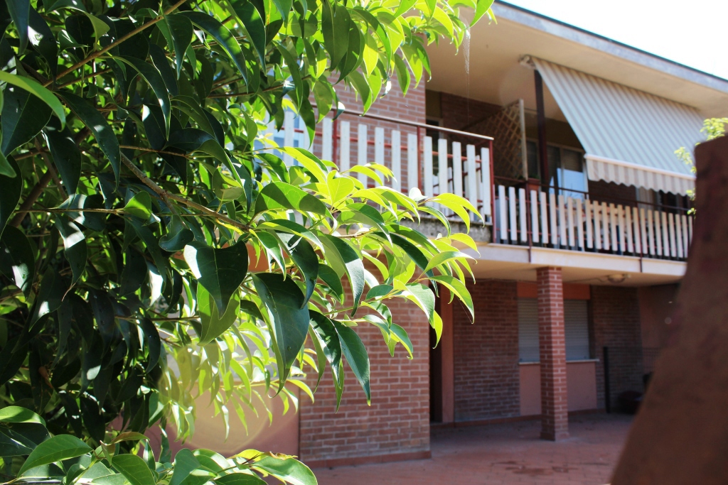 Casa indipendente in vendita a Noventa Vicentina