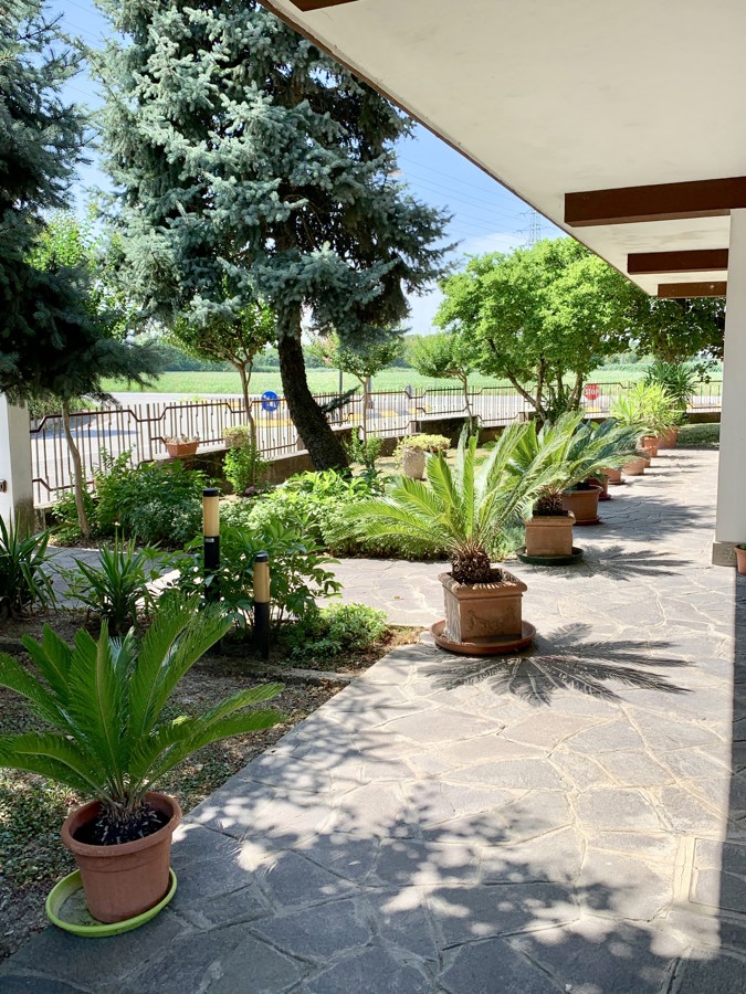 Casa indipendente con giardino a Agugliaro