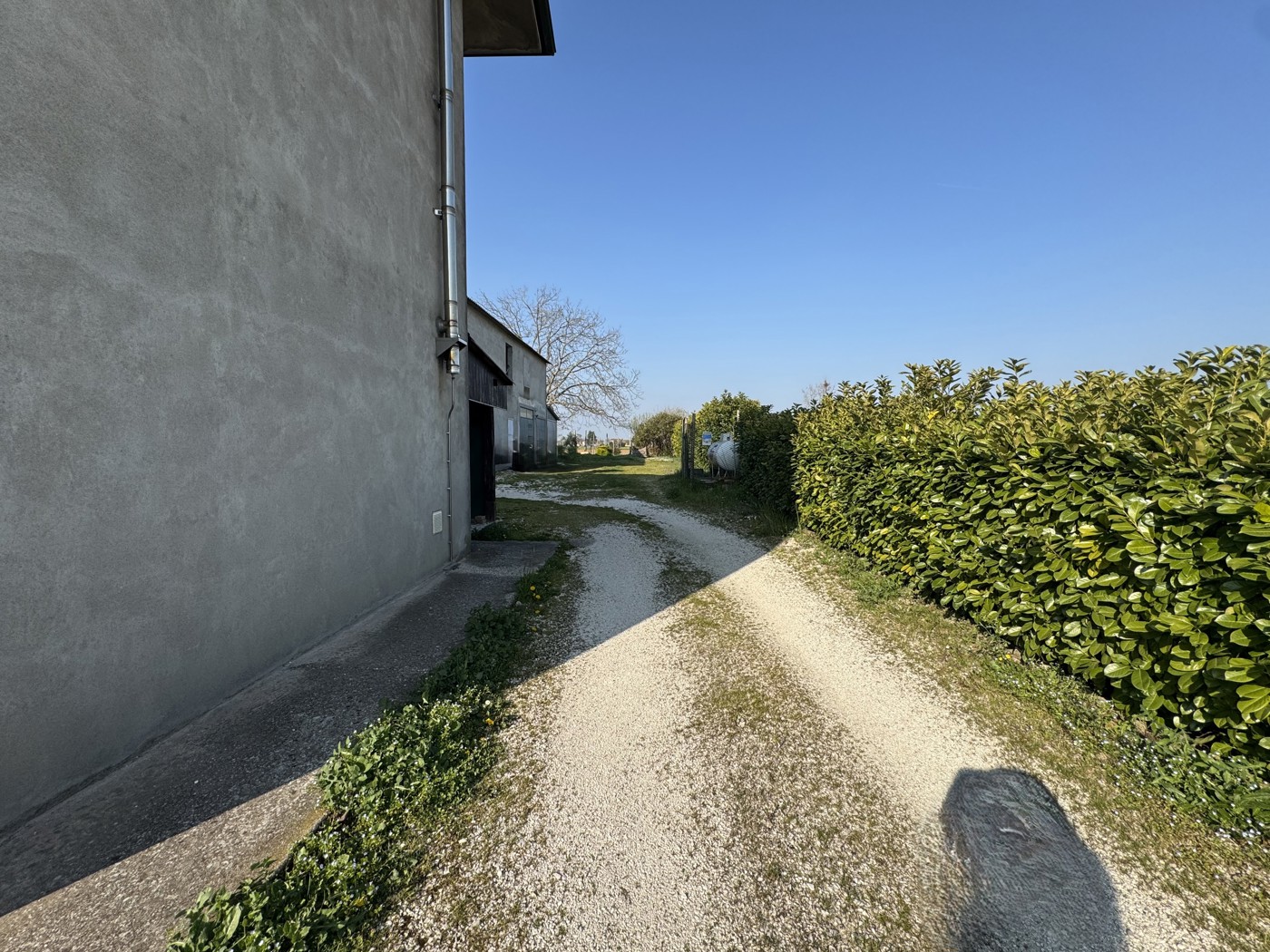 Casa indipendente in vendita a Pojana Maggiore