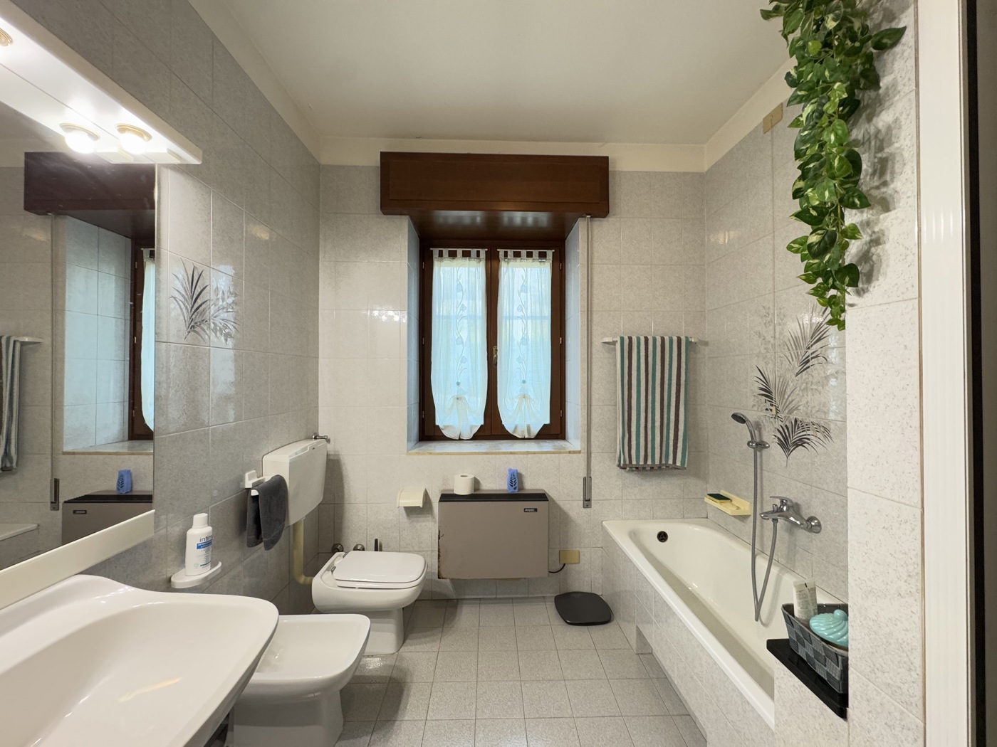 Casa indipendente in vendita a Sossano