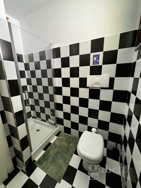 Trilocale arredato in affitto a Busto Arsizio