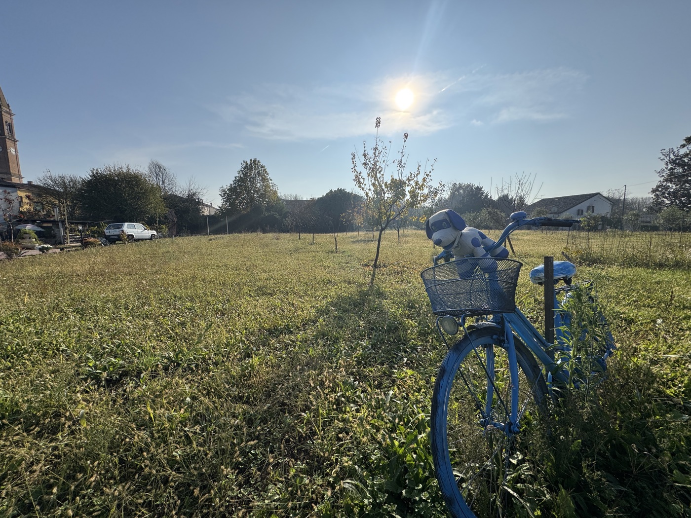 Terreno Edificabile in vendita a Montagnana