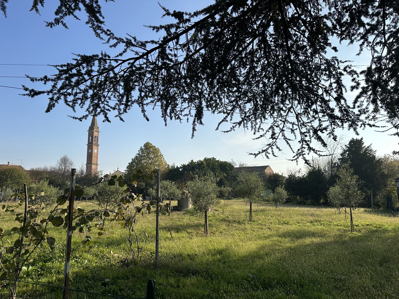 Terreno Edificabile in vendita a Montagnana