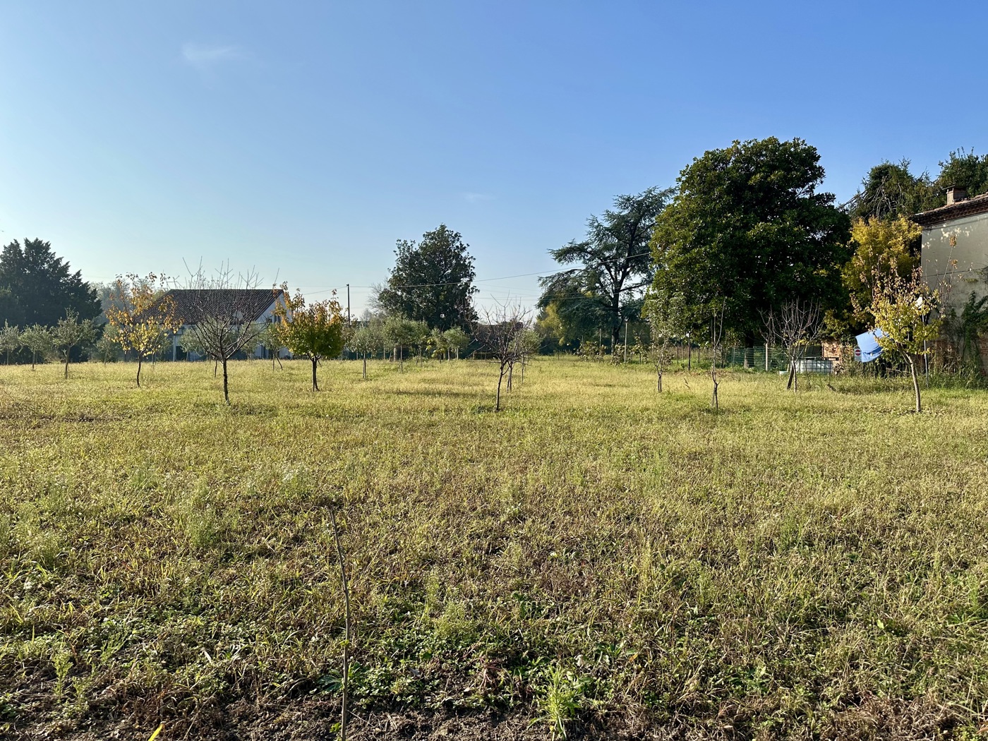 Terreno Edificabile in vendita a Montagnana