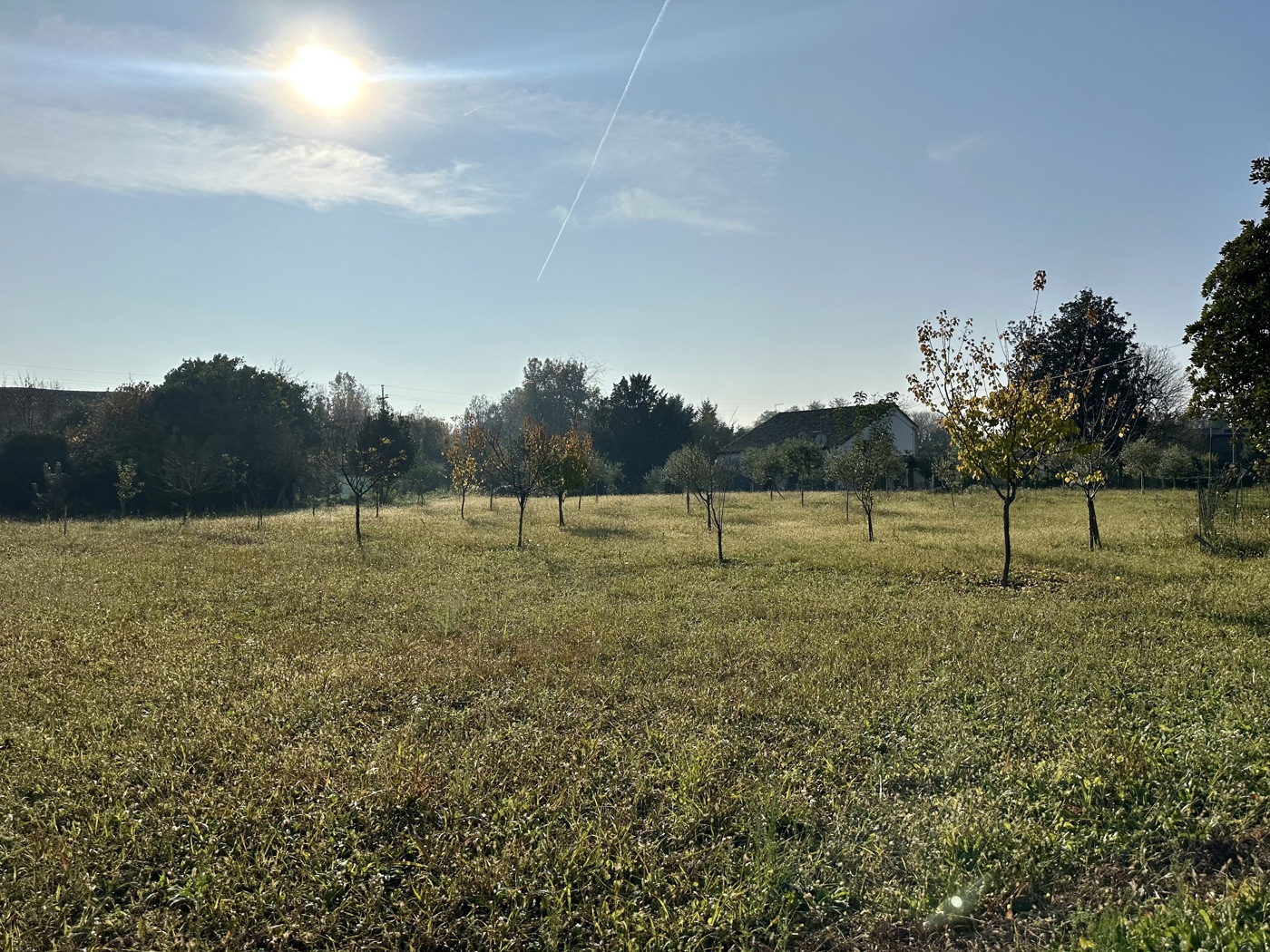 Terreno Edificabile in vendita a Montagnana