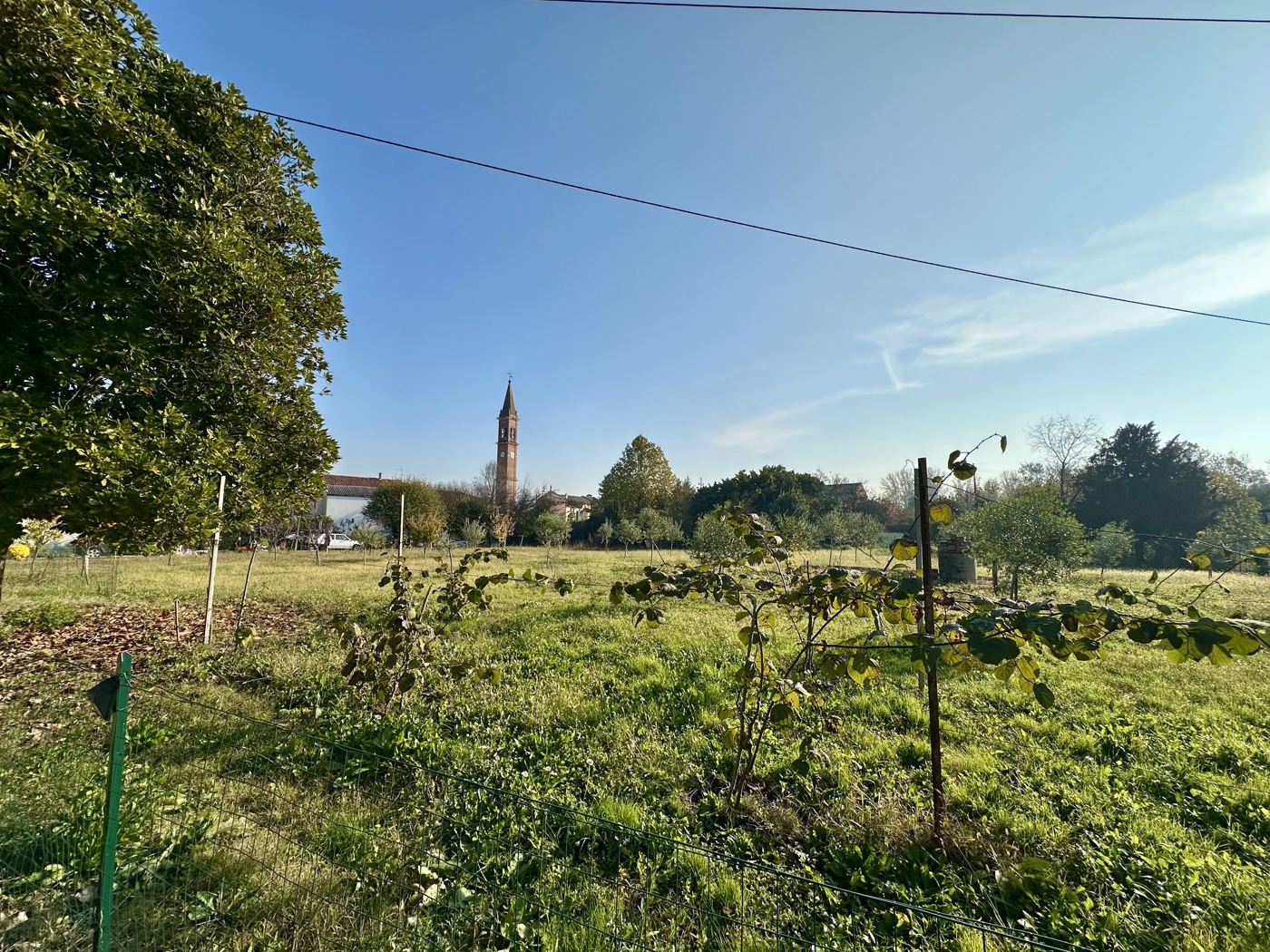 Terreno Edificabile in vendita a Montagnana