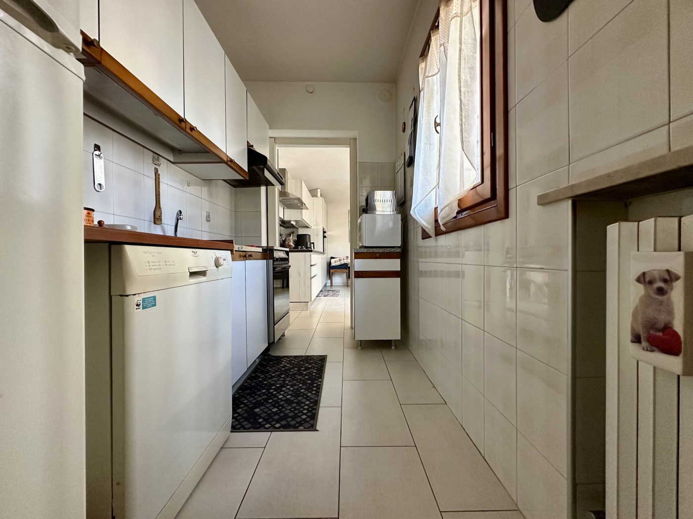 Villa con giardino a Montagnana