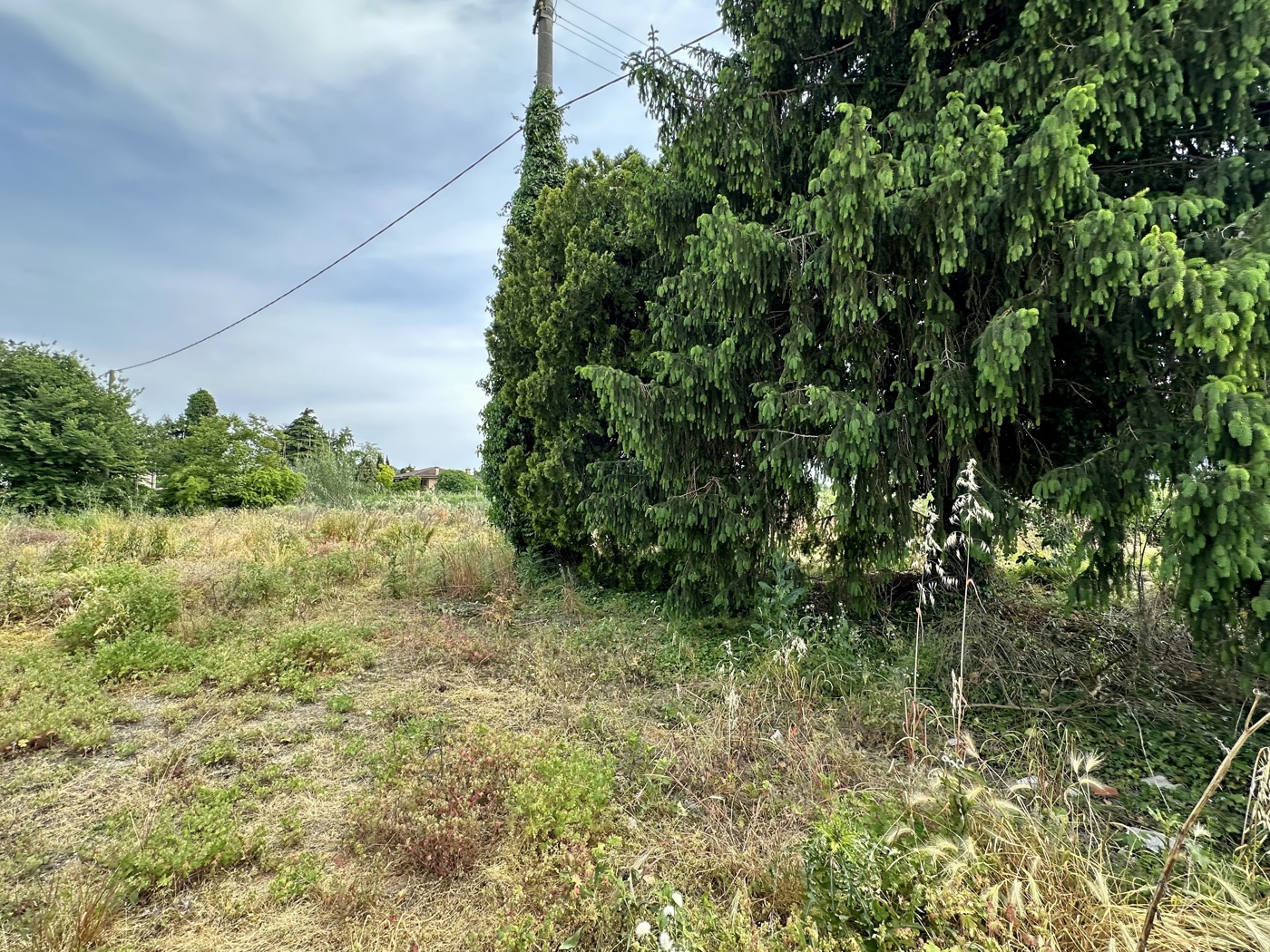 Rustico con giardino a Ospedaletto Euganeo