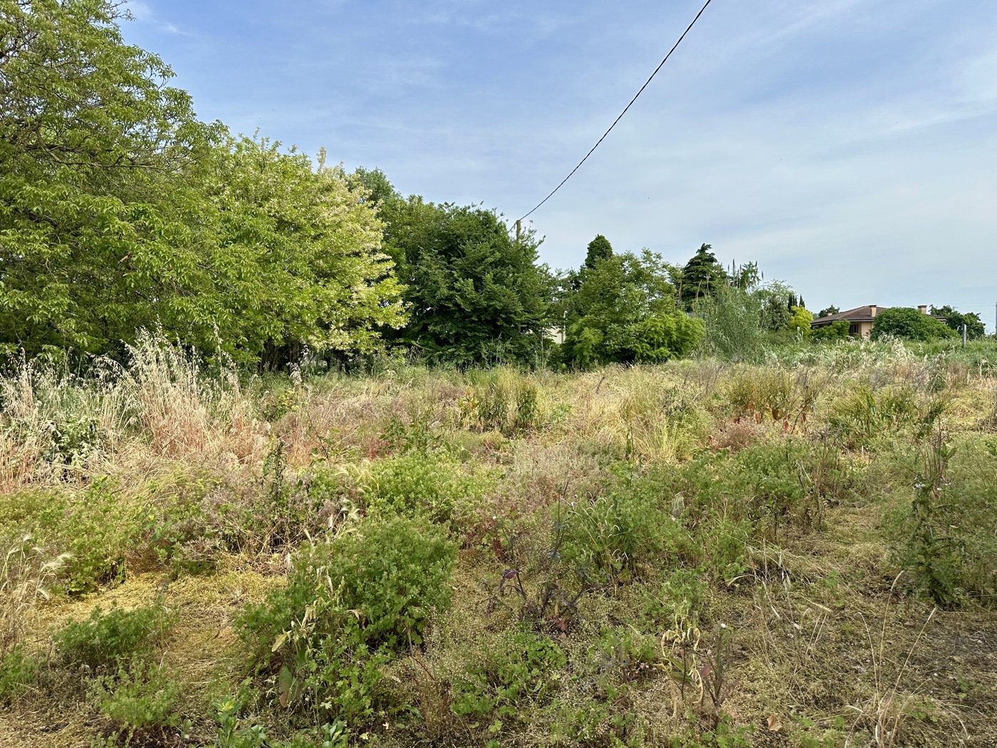 Rustico con giardino a Ospedaletto Euganeo