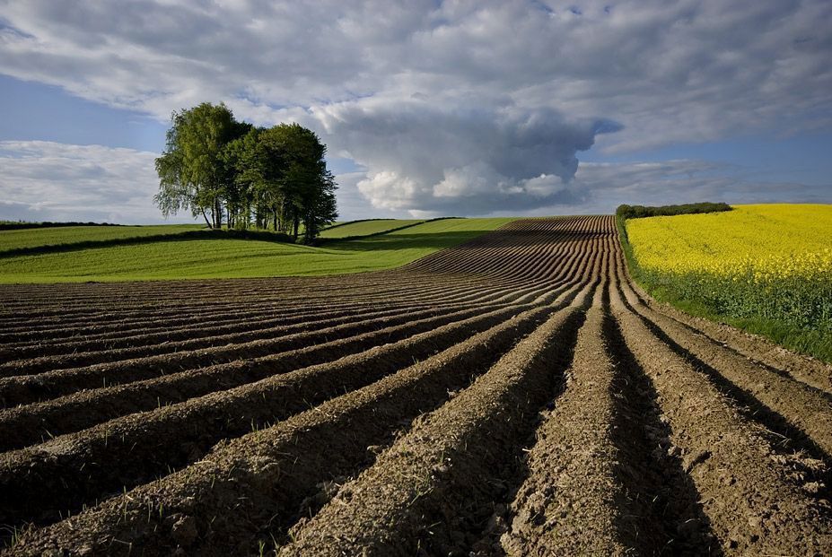 Terreno Agricolo in vendita a Borgo Veneto