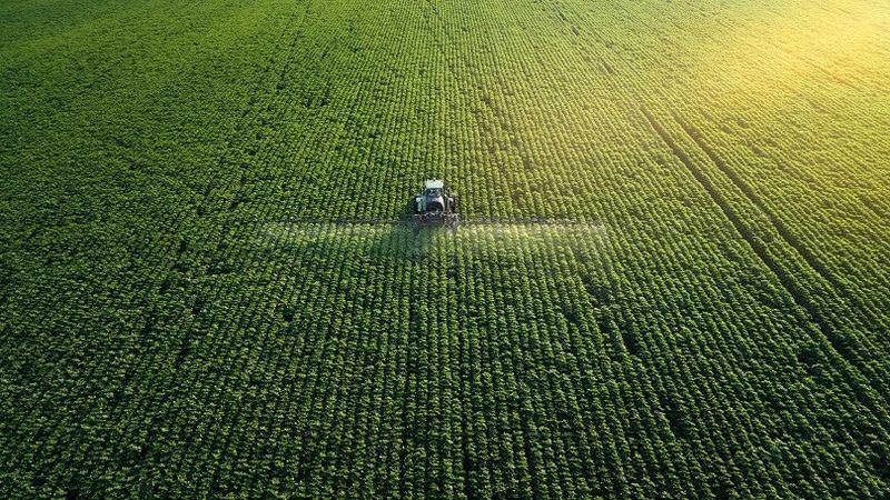 Terreno Agricolo in vendita a Montagnana