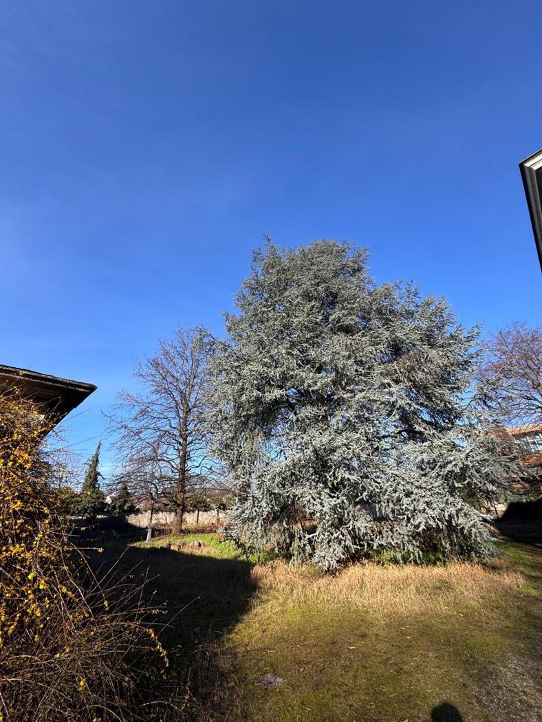 Terreno Edificabile in vendita a San Giorgio su Legnano