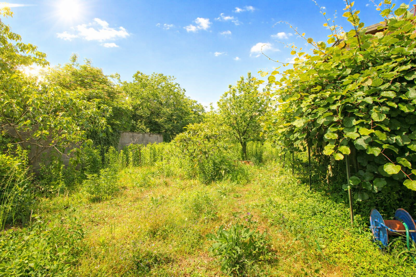 Villa con giardino a Olgiate Olona