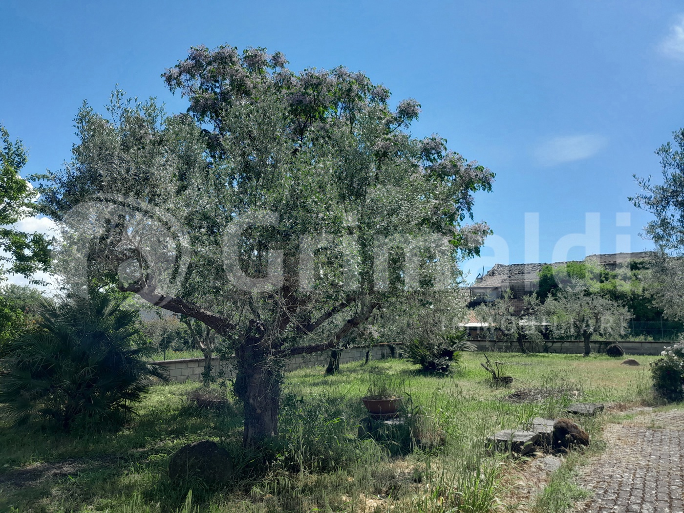 Casa indipendente con giardino a Benevento
