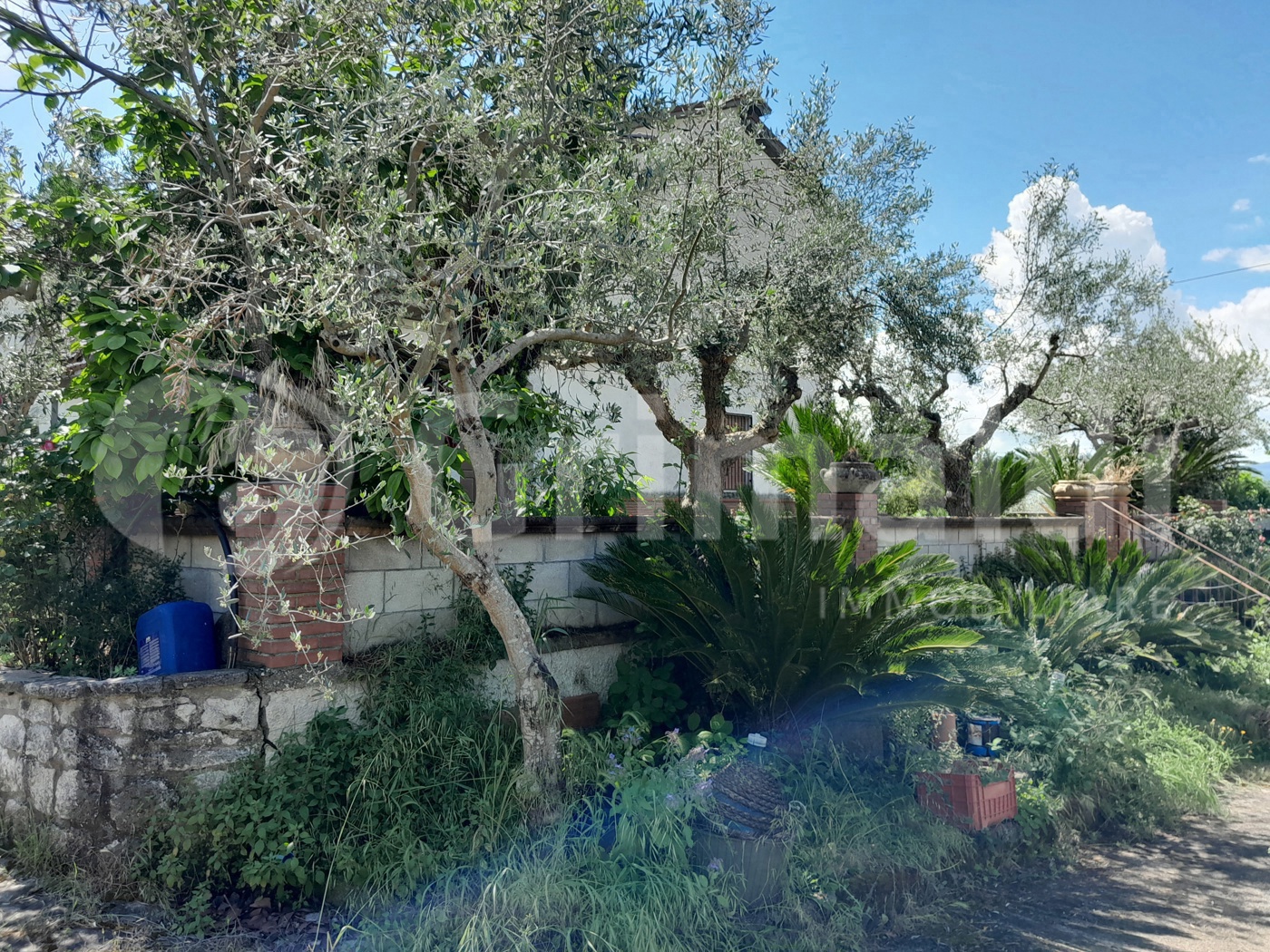 Casa indipendente con giardino a Benevento