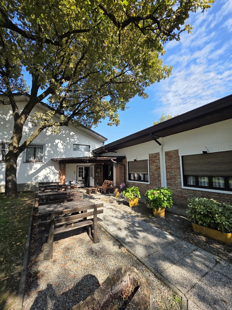 Attivit commerciale Ristorante e pizzeria in vendita a Merlino