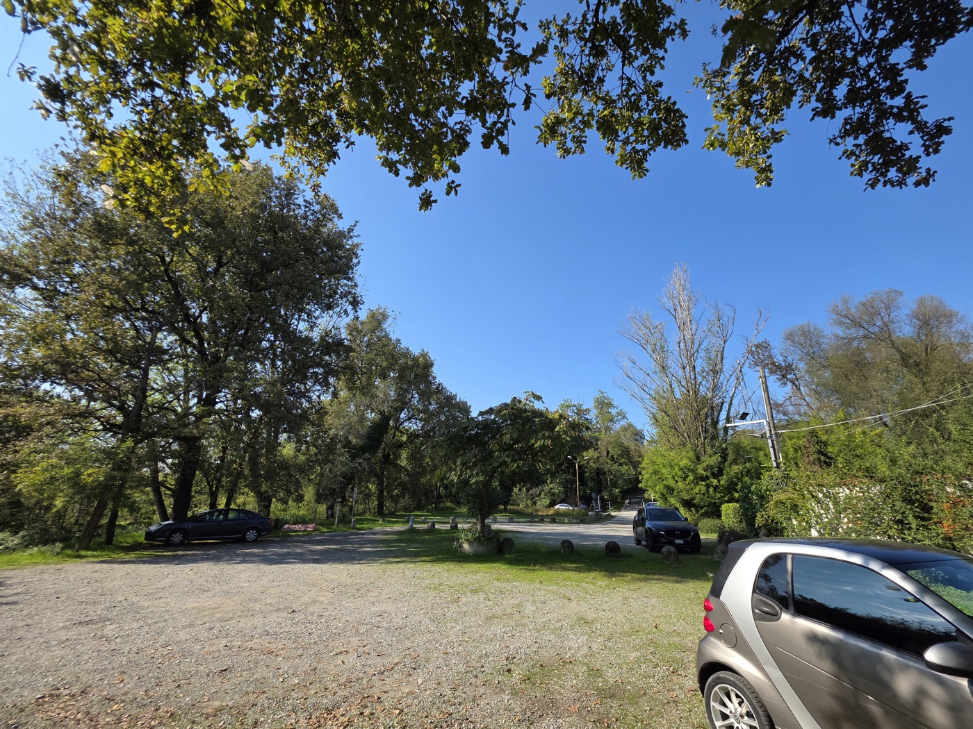 Attivit commerciale Ristorante e pizzeria in vendita a Merlino