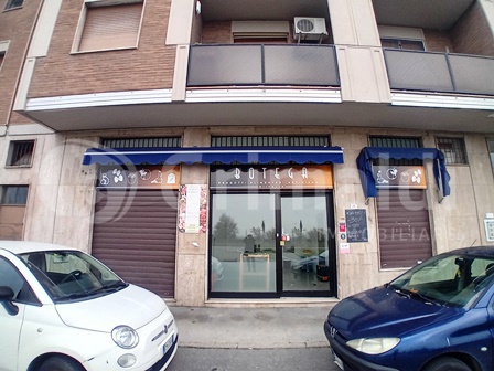 Negozio in affitto a Mediglia
