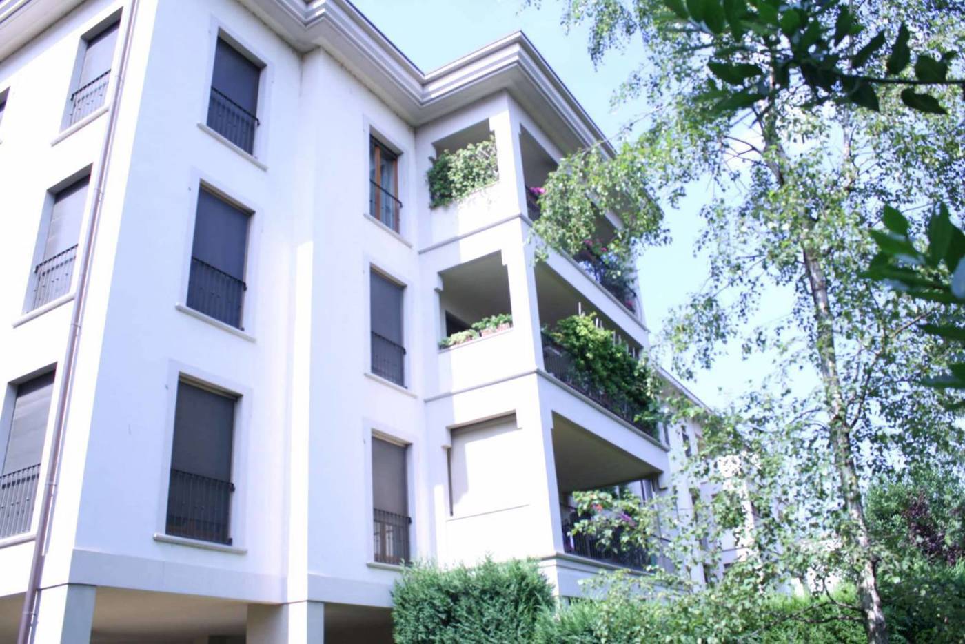 Trilocale arredato in affitto a Monza