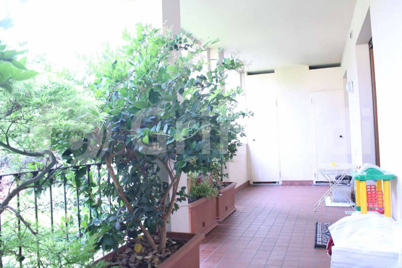 Trilocale arredato in affitto a Monza