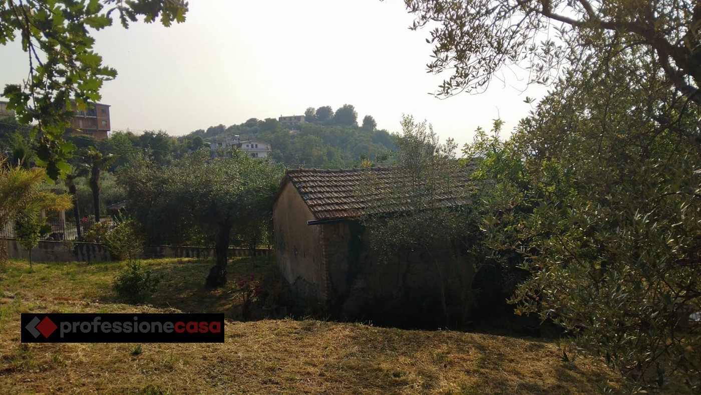 immagine annuncio 5 di 9
