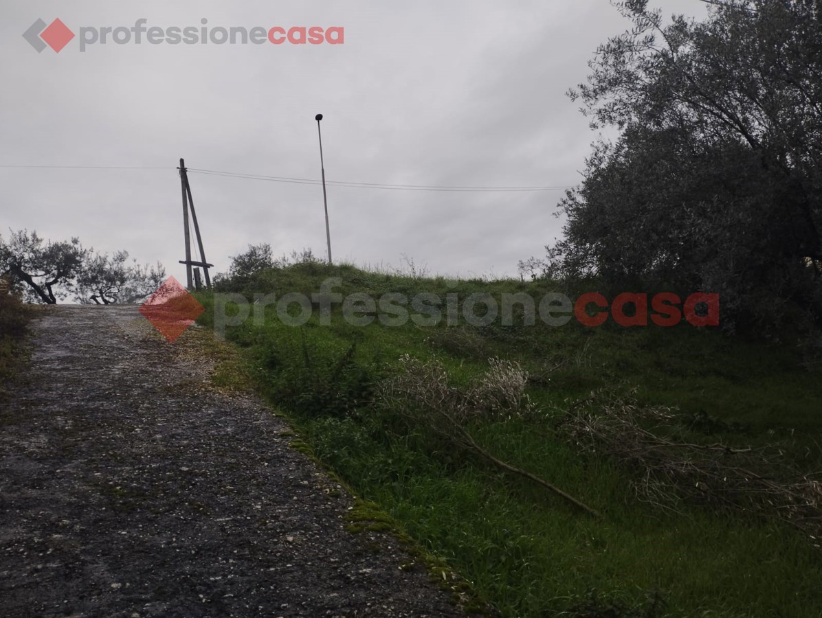 Terreno Edificabile in vendita a Boville Ernica