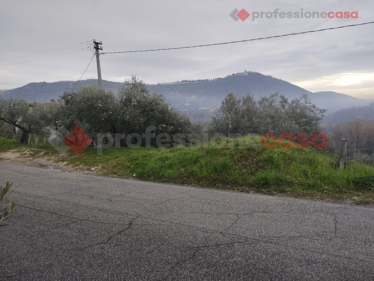 Terreno Edificabile in vendita a Boville Ernica