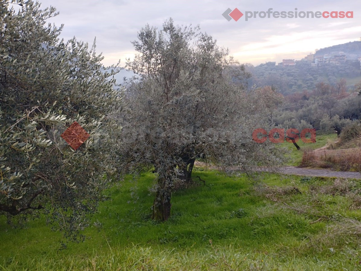 Terreno Edificabile in vendita a Boville Ernica