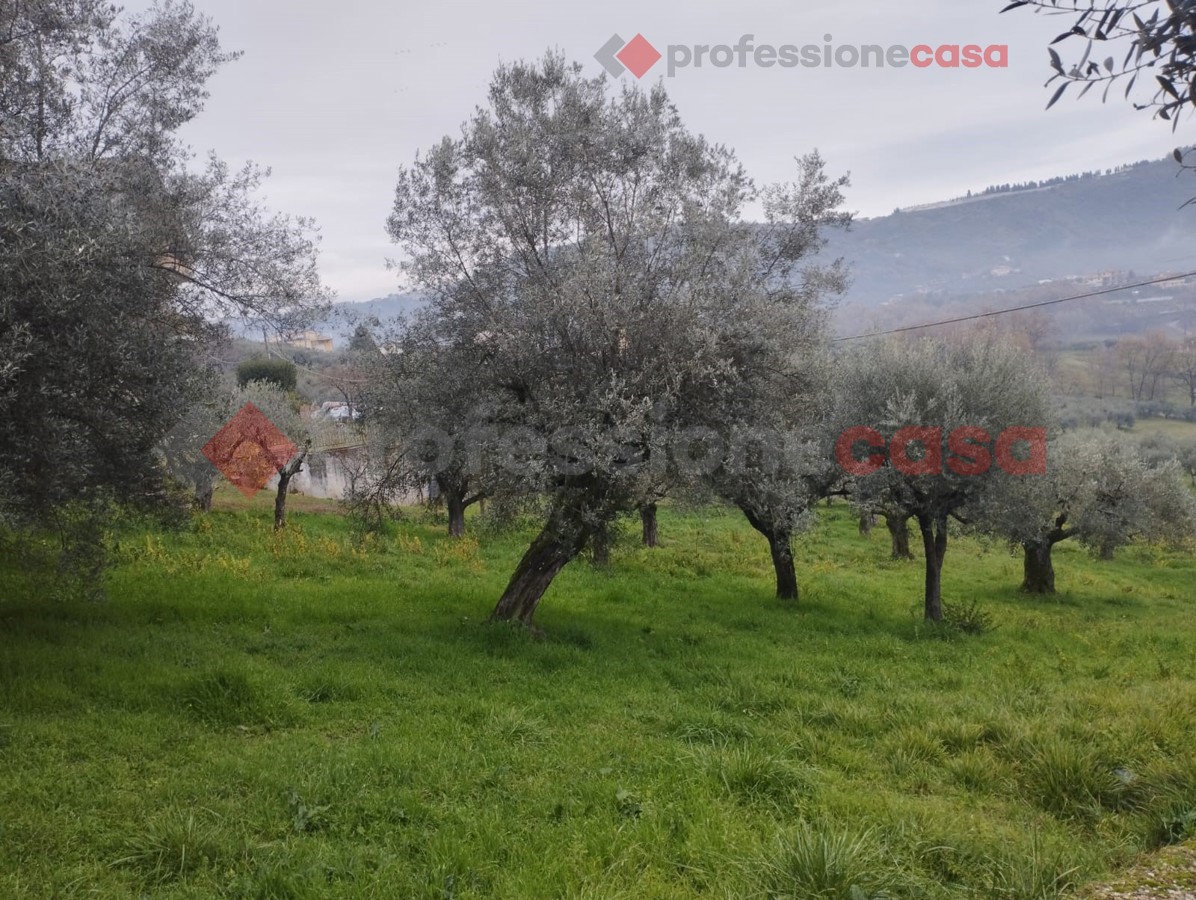 Terreno Edificabile in vendita a Boville Ernica