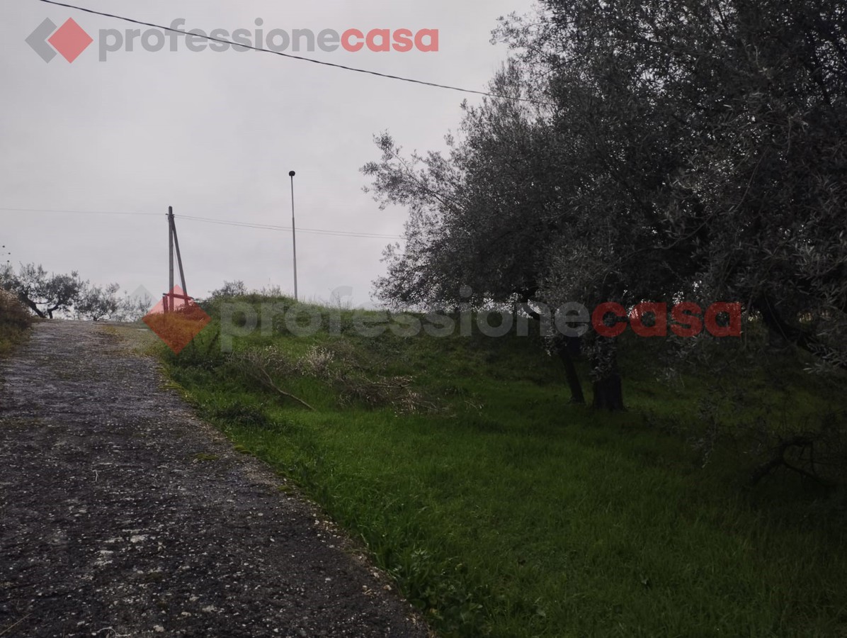 Terreno Edificabile in vendita a Boville Ernica