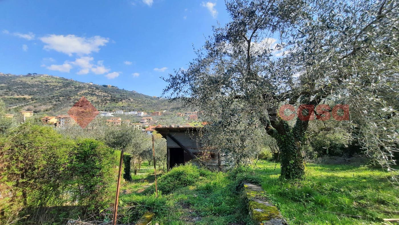 Casa indipendente in vendita a Boville Ernica