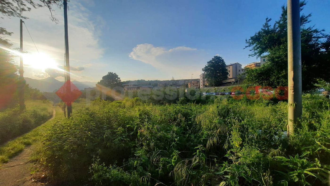 Terreno Edificabile in vendita a Ceccano