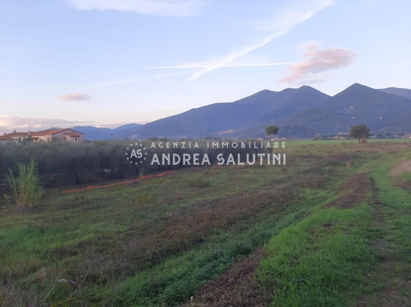 Terreno Agricolo in vendita, San Giuliano Terme campo